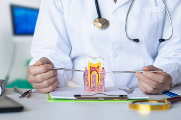 Best Pediatric Emergency Dentist in Commercial Point, OH